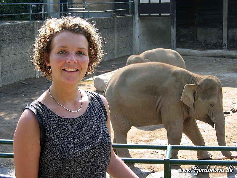 KBH zoo 190703 196.JPG